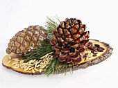 Pine nuts, pine cones and pine foliage on wooden board