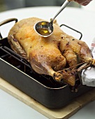 Basting roast goose with roasting juices