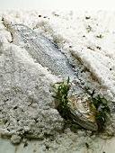 Sea bass in salt crust