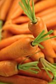 Carrots, full-frame
