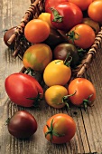 Various types of tomatoes