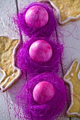 Coloured Easter eggs and Easter Bunny biscuits