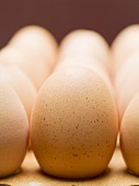 Fresh brown eggs (close-up)