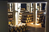 New barrique cellar, Fonterutoli Estate, Chianti, Tuscany, Italy