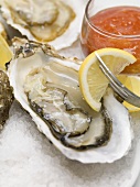 Fresh oysters with lemon and tomato sauce (close-up)