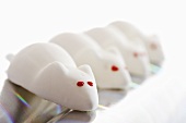 Marshmallow white mice