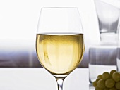 Glass of white wine, green grapes in background