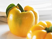 Yellow peppers with drops of water