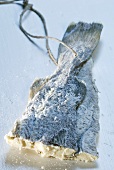Stockfish with string for hanging up