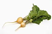 Two yellow radishes with leaves