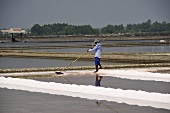 Sea salt extraction in Thailand
