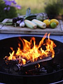 Burning charcoal, vegetables in background