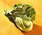 Baby cabbage from Thailand