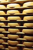 Bergkäse cheese (Alpine cheese) on ripening shelves