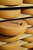 Bergkäse cheese on wooden shelves with cheese iron