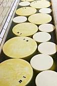 Cheeses in brine bath
