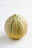 Whole cantaloupe melon