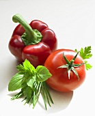 Rote Paprikaschote, Tomate und frische Kräuter