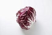 Radicchio