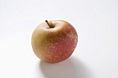 A Boskop apple