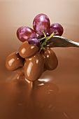 Dipping grapes in melted chocolate