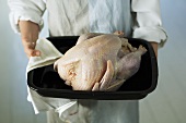 Chef holding fresh turkey in a roasting dish