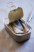 Sardines in opened tin