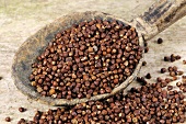 Paradieskörner (aframomum melegueta), Guineapfeffer oder Malagettapfeffer