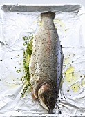 Trout with seasoning and thyme on aluminium foil