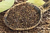 Caraway seed in a wooden spoon