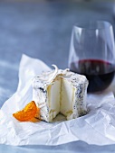 Still life with soft cheese and red wine