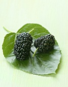 Mulberries on leaf
