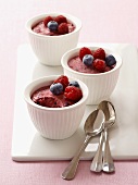 Home-made yoghurt ice cream with berries in dessert dishes