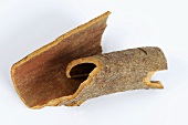 A piece of cinnamon bark