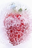 Gefrorene Erdbeere (Close Up)