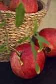 Pomegranates with twig and basket
