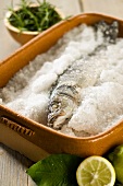 Sea bass in salt