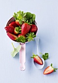 Fresh strawberries in strainer and on spoon