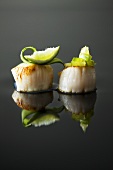 Fried scallops garnished with lime and cucumber