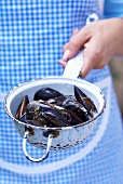 Woman holding fresh mussels in strainer