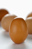 Brown eggs