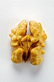 A shelled walnut