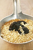 Black truffle and rice