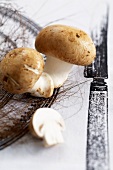 Brown button mushrooms on printed tablecloth