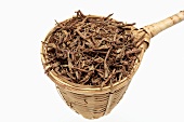 Dried tatarian aster root in a tea strainer
