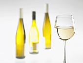 Ein Glas und drei Flaschen Weißwein
