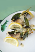 Fried eel with sage and pepper sauce