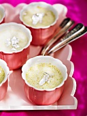 Kulfi with pistachios (Indian ice cream)