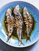 Marinated sardines