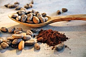 Roasted cocoa beans on wooden spoon, cocoa powder beside it